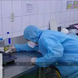 Sản phẩm ybsxq40528ir3ugan36r5dter7em_diet gian — Công Ty TNHH Một Thành Viên Dịch Vụ Hạnh Long — MST 0312539301
