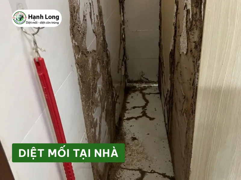 Sản phẩm z2tu36tny35r1s8jsbftkhjzpj9g_diet moi nha dan — Công Ty TNHH Một Thành Viên Dịch Vụ Hạnh Long — MST 0312539301