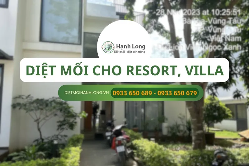 Sản phẩm zvy7gq5b3f9tywr6fzm9kgo193h4_dich vu diet moi cho resort villa 2 — Công Ty TNHH Một Thành Viên Dịch Vụ Hạnh Long — MST 0312539301