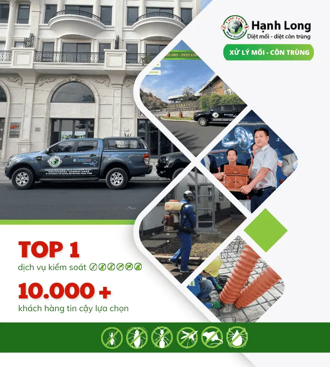 Sản phẩm hanh long — Công Ty TNHH Một Thành Viên Dịch Vụ Hạnh Long — MST 0312539301