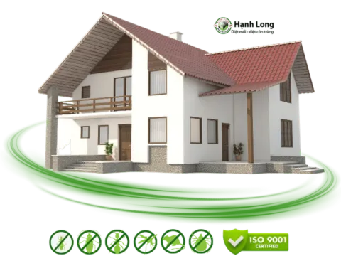 Sản phẩm trien khai xu ly moi va con trung 480x360 — Công Ty TNHH Một Thành Viên Dịch Vụ Hạnh Long — MST 0312539301