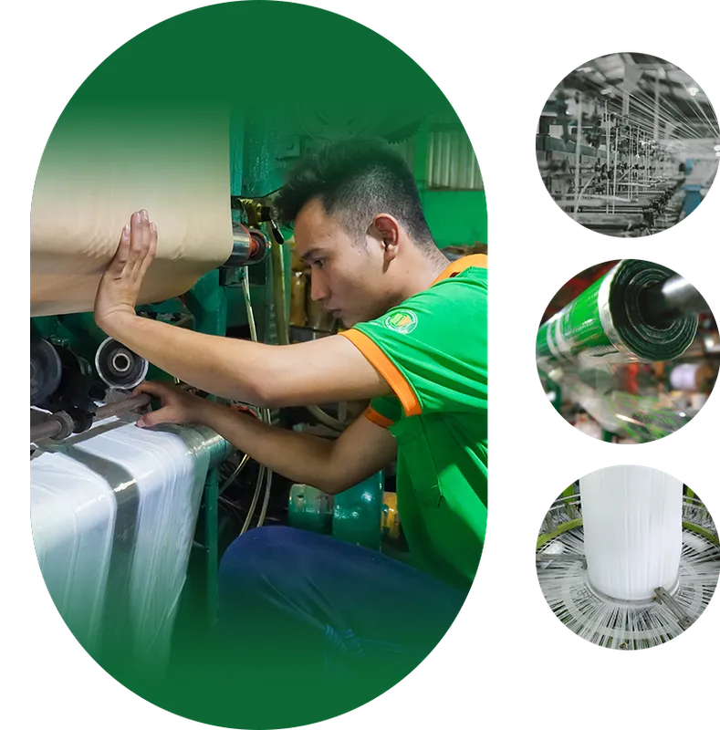 Sản phẩm 18_2 e1734518201101 — Công Ty Cổ Phần Thương Mại Và Sản Xuất Bao Bì ánh Sáng — MST 0312550351