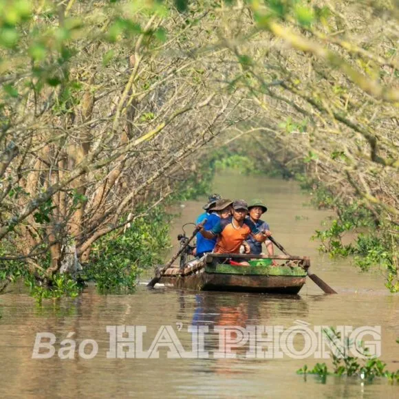 Sản phẩm bien vinh quang 580x580 — Công Ty Cổ Phần Giáo Dục & Đào Tạo Tri Thức Mới — MST 0312573542