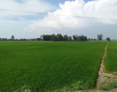 Sản phẩm cty phuc hai 6078 — Công Ty TNHH Tư Vấn Và Thẩm Định Giá Phương Nam — MST 0312574666