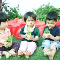 Sản phẩm fth 1609 — Đồng Phục Việt Phước Hòa - Công Ty TNHH Sản Xuất Thương Mại Dịch Vụ Việt Phước
Hòa — MST 0312575194