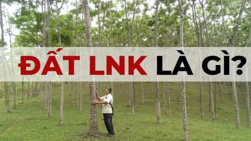 Sản phẩm lnk la dat gi — Công Ty Cổ Phần TM & DV Bất Động Sản Phúc Long — MST 0312579382