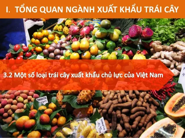 Sản phẩm dich vu van chuyen xuat khau hang trai cay — Công Ty Cổ Phần Giao Nhận Vận Tải Quốc Tế Dương Minh — MST 0312581864