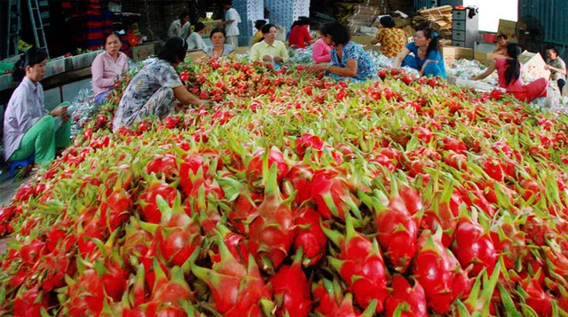 Sản phẩm van chuyen hang sang trung quoc — Công Ty Cổ Phần Giao Nhận Vận Tải Quốc Tế Dương Minh — MST 0312581864