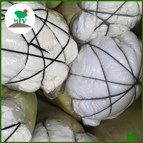 Sản phẩm z4710427906133_f4a511f7cbe44e4e9c8014e922794a7a — Vải Lau Công Nghiệp Mặt Trời Việt - Công Ty TNHH TM DV Thu Mua Phế Liệu Xây Dựng
Mặt Trời Việt — MST 0312595190