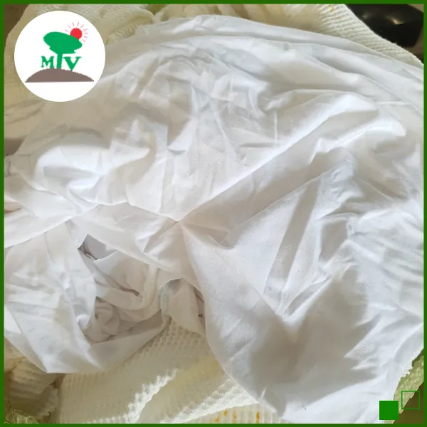 Sản phẩm z4737925270126_3688d4fb7054c619e5c04d5a840a3b44 — Vải Lau Công Nghiệp Mặt Trời Việt - Công Ty TNHH TM DV Thu Mua Phế Liệu Xây Dựng
Mặt Trời Việt — MST 0312595190