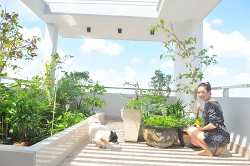 Sản phẩm 1466632800e824418b01dc6a33069cde — Bao Bì Nhựa Huy Minh - Công Ty TNHH SX Chai Lọ Nhựa Huy Minh — MST 0312602497