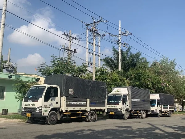 Sản phẩm IMG_2134 1 — Công Ty TNHH Vận Tải Mai Tâm Phát — MST 0312604448