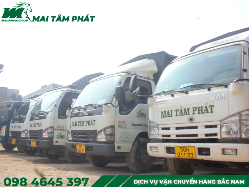 Sản phẩm dich vu van chuyen hang gia re 2 — Công Ty TNHH Vận Tải Mai Tâm Phát — MST 0312604448