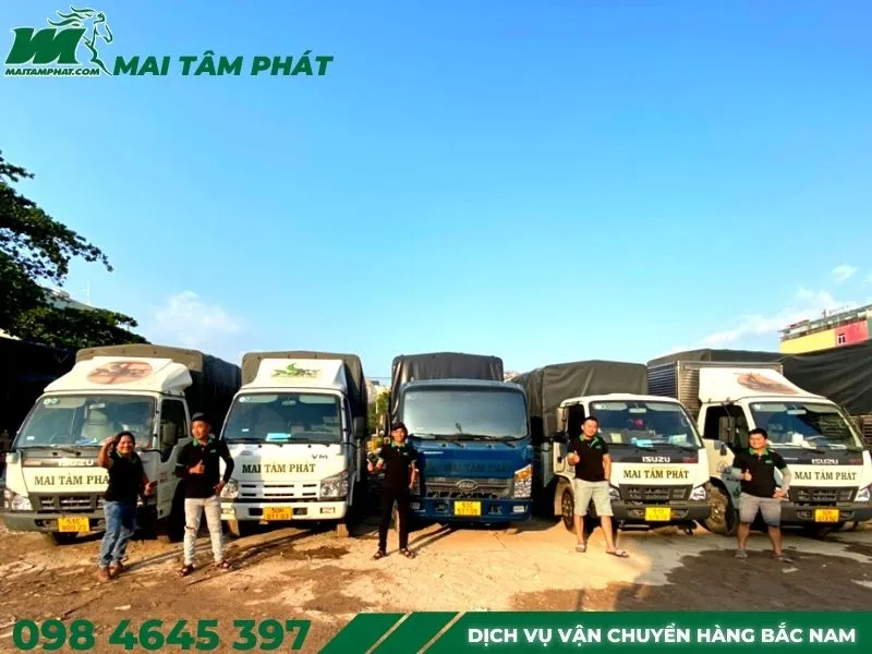 Sản phẩm he thong xe van chuyen hang hoa 1 1 — Công Ty TNHH Vận Tải Mai Tâm Phát — MST 0312604448
