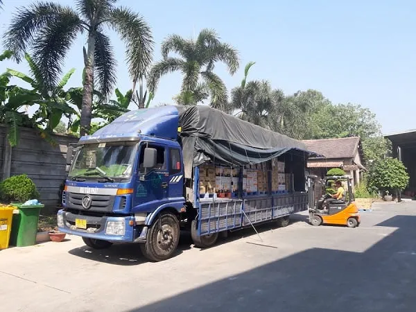 Sản phẩm hoat dong nang ha hang hoa van chuyen bac nam — Công Ty TNHH Vận Tải Mai Tâm Phát — MST 0312604448