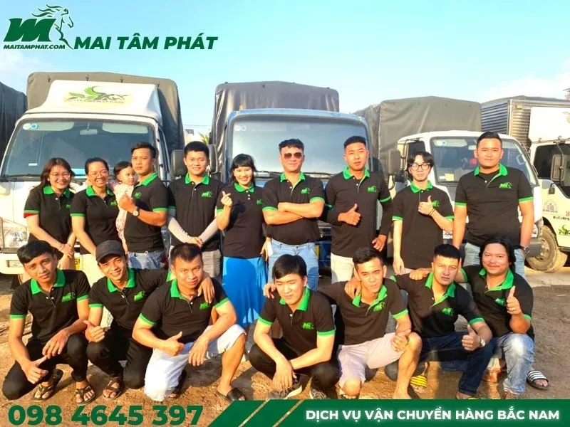 Sản phẩm mai tam phat ho tro ban nhu the nao 1 — Công Ty TNHH Vận Tải Mai Tâm Phát — MST 0312604448