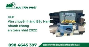 Sản phẩm van chuyen hang hoa bac nam nhanh chong an toan 1 300x158 — Công Ty TNHH Vận Tải Mai Tâm Phát — MST 0312604448