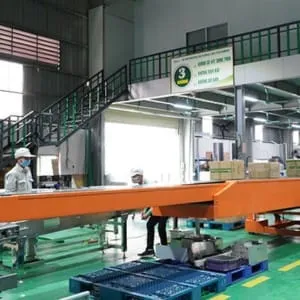 Sản phẩm bang tai co rut TC — Băng Tải Việt Thống Hưng Thịnh - Công Ty TNHH Sản Xuất Thương Mại Dịch Vụ Việt
Thống Hưng Thịnh — MST 0312615305