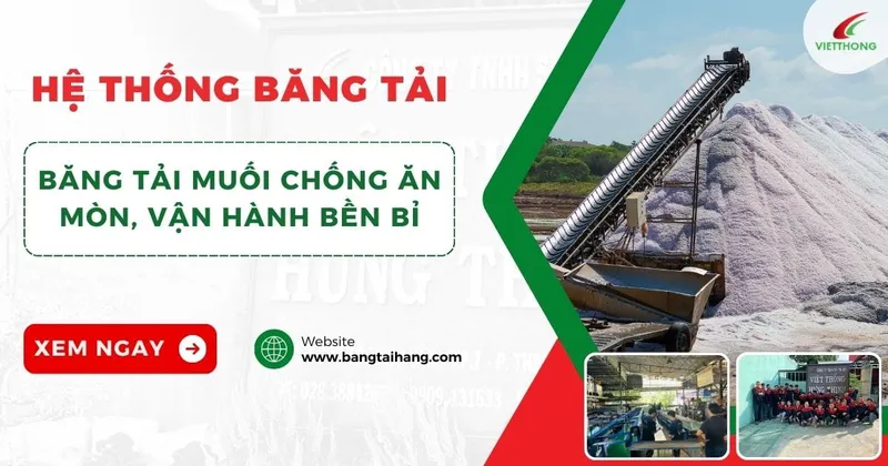 Sản phẩm bang tai muoi — Băng Tải Việt Thống Hưng Thịnh - Công Ty TNHH Sản Xuất Thương Mại Dịch Vụ Việt
Thống Hưng Thịnh — MST 0312615305