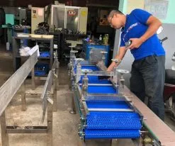 Sản phẩm bang tai thuc pham11220 247x206 — Công Ty Cổ Phần Băng Tải Xích Công Nghiệp Việt Phát — MST 0312620785