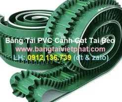 Sản phẩm bang tai pvc canh gat tai beo 247x206 — Công Ty Cổ Phần Băng Tải Xích Công Nghiệp Việt Phát — MST 0312620785