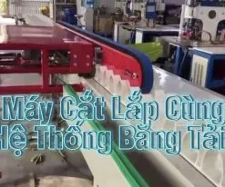 Sản phẩm may cat trong he thong bang tai 1 247x206 — Công Ty Cổ Phần Băng Tải Xích Công Nghiệp Việt Phát — MST 0312620785