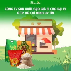 Văn phòng Gạo Hoa Lúa - Công Ty TNHH Thương Mại Gạo Hoa Lúa #0 — MST 0312626025