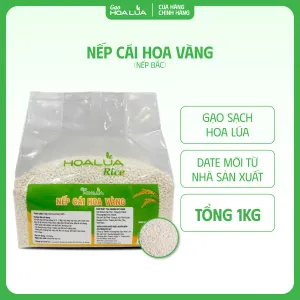 Sản phẩm nep cai hoa vang 14 img — Gạo Hoa Lúa - Công Ty TNHH Thương Mại Gạo Hoa Lúa — MST 0312626025