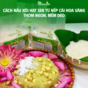 Sản phẩm cach nau xoi hat sen tu nep cai hoa vang thom ngon mem deo 0 — Gạo Hoa Lúa - Công Ty TNHH Thương Mại Gạo Hoa Lúa — MST 0312626025