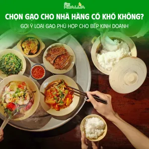 Sản phẩm chon gao cho nha hang co kho khong goi y loai gao phu hop cho bep kinh doanh 0 — Gạo Hoa Lúa - Công Ty TNHH Thương Mại Gạo Hoa Lúa — MST 0312626025