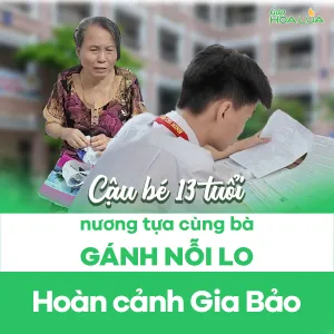 Sản phẩm gan ket yeu thuong gia bao cau be 13 tuoi nuong tua cung ba ganh noi lo 0 — Gạo Hoa Lúa - Công Ty TNHH Thương Mại Gạo Hoa Lúa — MST 0312626025