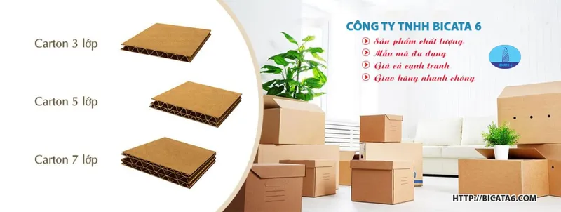 Sản phẩm bbb 9240 44921 — Bao Bì Carton BICATA 6 - Công Ty TNHH BICATA 6 — MST 0312642411