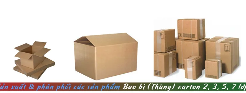 Sản phẩm thung carton 6659 24331 — Bao Bì Carton BICATA 6 - Công Ty TNHH BICATA 6 — MST 0312642411