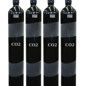 Sản phẩm CO2_40Lit_02 300x300 — Công Ty Trách Nhiệm Hữu Hạn Một Thành Viên Thương Mại Dịch Vụ Phục Hưng Vàng — MST 0312643824