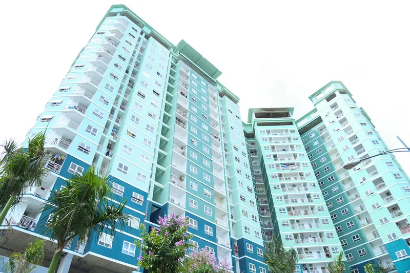 Sản phẩm 8x dam sen — Công Ty TNHH Xây Dựng Tư Vấn Thương Mại Three B — MST 0312649784