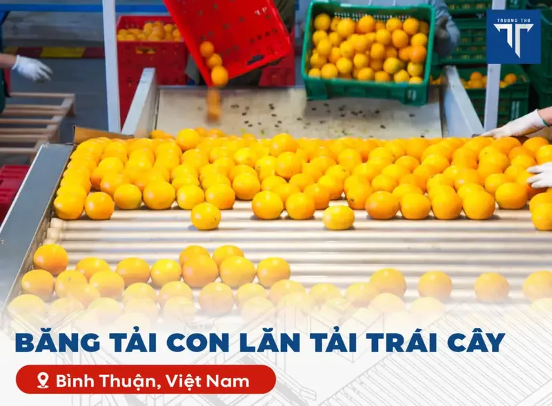 Sản phẩm BANG TAI Con lan tai trai cay 1 1024x754.jpg — Băng Tải Trường Thọ - Công Ty TNHH Kỹ Thuật Băng Tải Trường Thọ — MST 0312653163