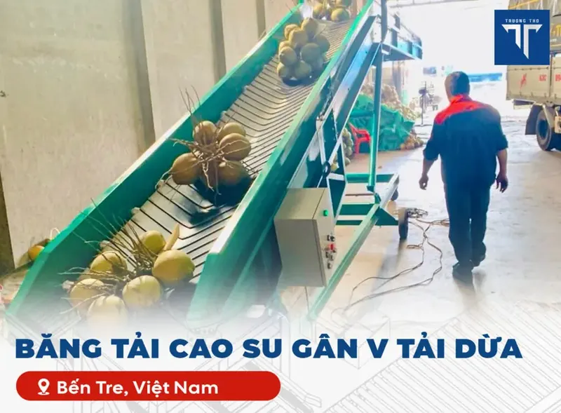Sản phẩm BANG TAI tai dua 1024x754.jpg — Băng Tải Trường Thọ - Công Ty TNHH Kỹ Thuật Băng Tải Trường Thọ — MST 0312653163