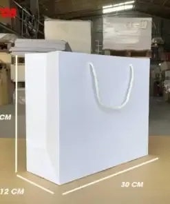 Sản phẩm tui giay IT08 1 247x296 — Công Ty TNHH Thương Mại Dịch Vụ VinaNetCo — MST 0312662425