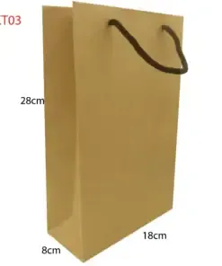 Sản phẩm tui giay kt03 1 247x296 — Công Ty TNHH Thương Mại Dịch Vụ VinaNetCo — MST 0312662425