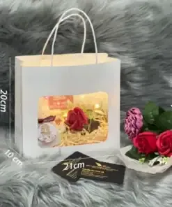 Sản phẩm tui_giay_it04 1 247x296 — Công Ty TNHH Thương Mại Dịch Vụ VinaNetCo — MST 0312662425