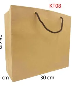 Sản phẩm Tui giay tron kt08 scaled 247x296 — Công Ty TNHH Thương Mại Dịch Vụ VinaNetCo — MST 0312662425