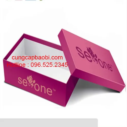 Sản phẩm hop am duong_s966 — Bao Bì Nam Tiến - Công Ty Cổ Phần Thương Mại Và Sản Xuất Bao Bì Nam Tiến — MST 0312662954