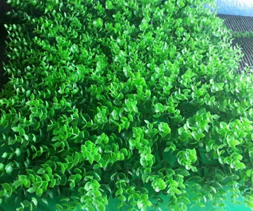 Sản phẩm co nhua 360x300 dd — Công Ty TNHH Thể Thao Phú An Phát — MST 0312673949
