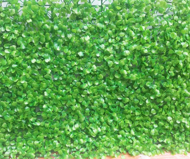 Sản phẩm cỏ tai chuột giá rẻ — Công Ty TNHH Thể Thao Phú An Phát — MST 0312673949