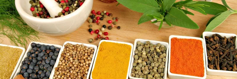 Sản phẩm 124215124_1490348621 — Phụ Gia Thực Phẩm Vinasing - Công Ty Trách Nhiệm Hữu Hạn Phát Triển Khoa Học
Vinasing — MST 0312675110