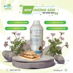 Sản phẩm ban web_1742372457 — Phụ Gia Thực Phẩm Vinasing - Công Ty Trách Nhiệm Hữu Hạn Phát Triển Khoa Học
Vinasing — MST 0312675110
