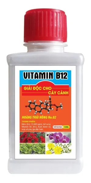 Sản phẩm 1634214787_7ea60296daba1fa621ea — Công Ty TNHH Sản Xuất Thương Mại Hoàng Thái Nông — MST 0312678231