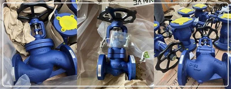 Sản phẩm Van BVALVE tai kho cua IWISU — Công Ty Cổ Phần Kỹ Thuật Thương Mại IWISU — MST 0312692740