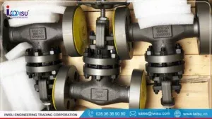 Sản phẩm Van cong Bonney Forge 300x169 — Công Ty Cổ Phần Kỹ Thuật Thương Mại IWISU — MST 0312692740