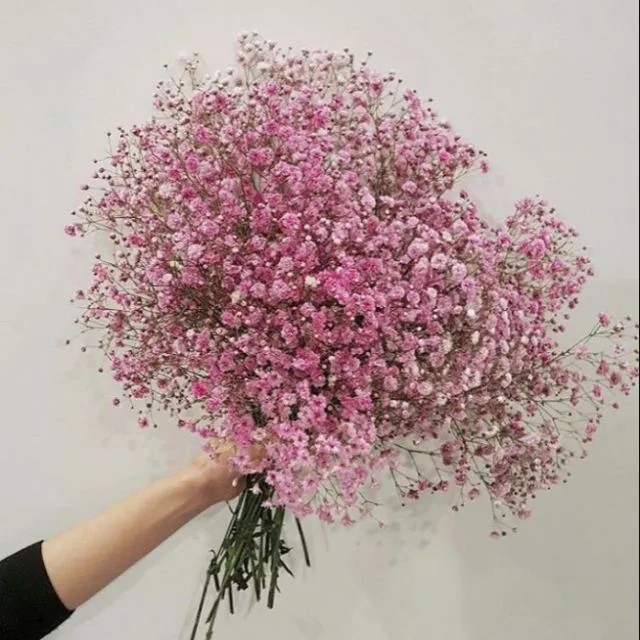 Sản phẩm cachlamhoababykho1 — Công Ty TNHH Marguerite — MST 0312701586